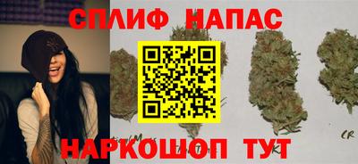 PSILOCYBIN Кинель