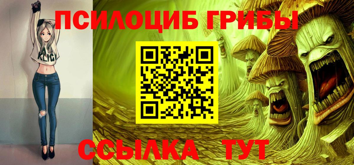 Псилоцибиновые грибы Psilocybe Глазов